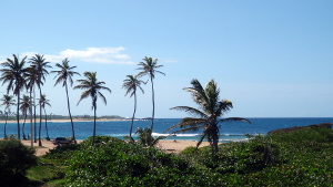 CASA DEL SOL