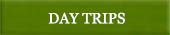 DAY TIPS